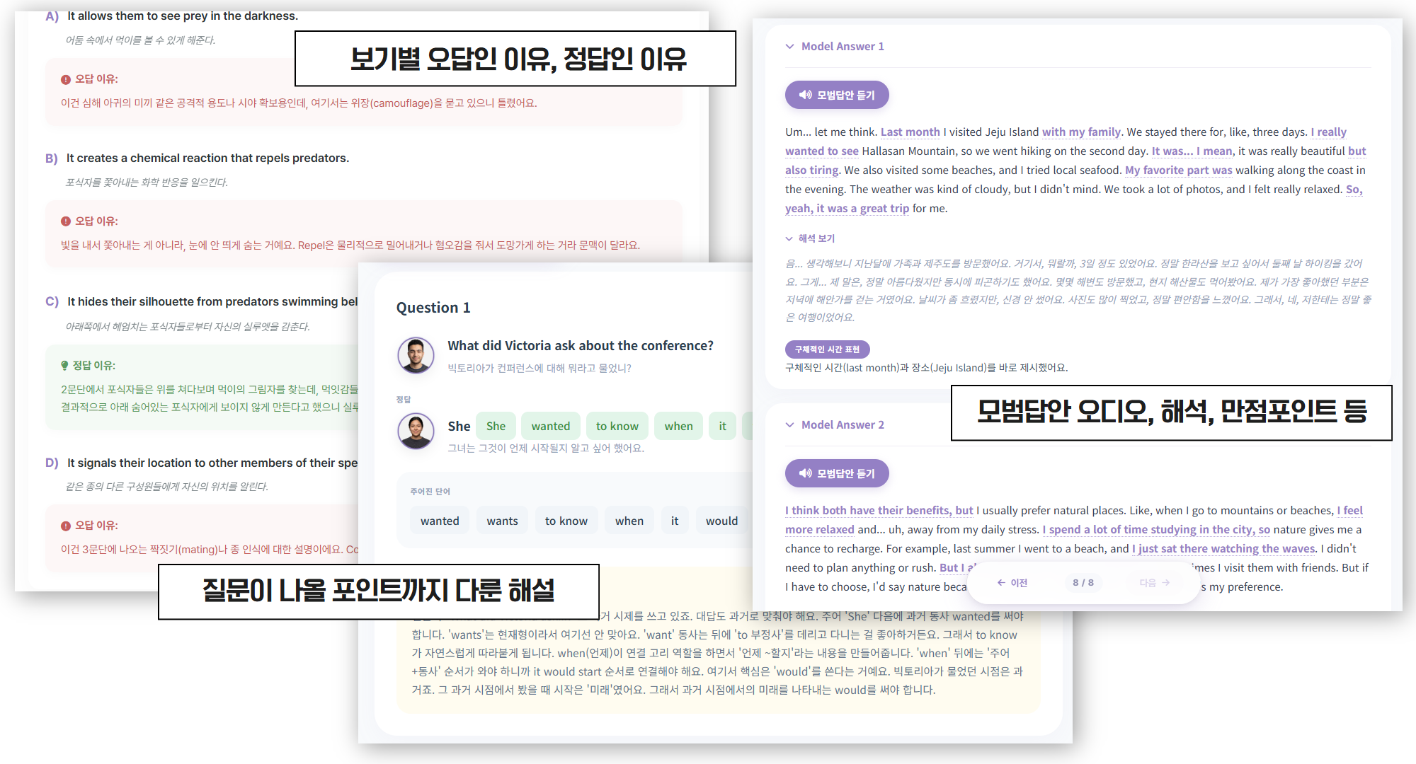 풀이 화면 + 해설 화면